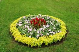 丸い花壇: デザイン 半円の花壇のデザイン