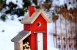Putnu māja, ko dari pats: kā izveidot uzticamu un ērtu putnu māju (61 foto)